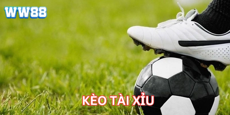 5 Bước Đơn Giản Để Làm Chủ Kèo Tài Xỉu Trong Bóng Đá Mẹo chơi Kèo Tài Xỉu hiệu quả