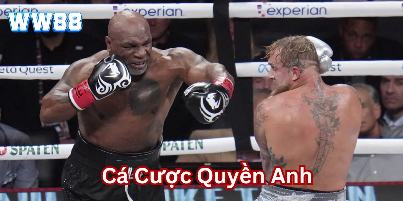 Bí Quyết Cá Cược Quyền Anh: Từ Cơ Bản Đến Thành Công Mẹo hay chơi Cá Cược Quyền Anh