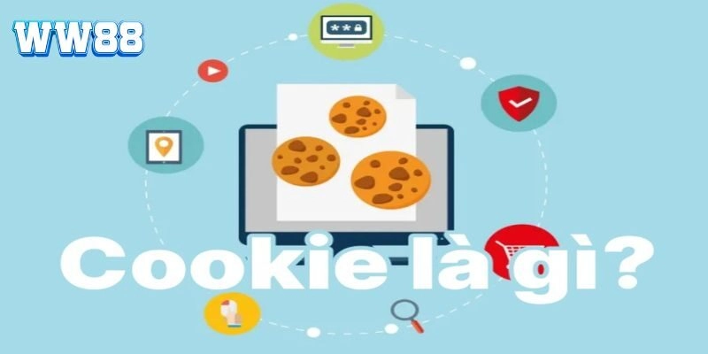 Cái nhìn tổng thể về cookie 